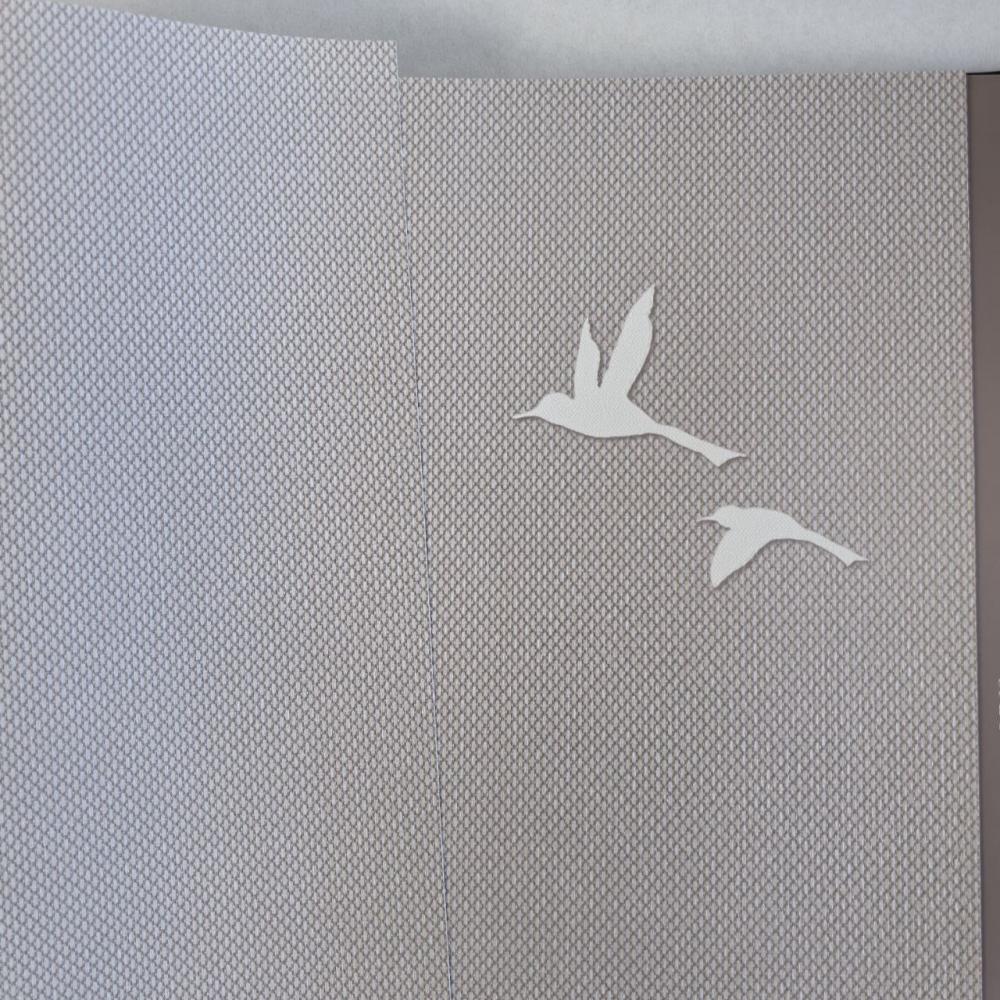 Andrea Rossi Spectrum Box 54458-11 Andrea Rossi Spectrum Box 54458-11