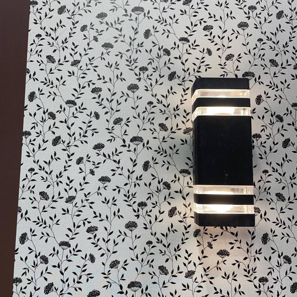 Andrea Rossi Spectrum Box 54456-12