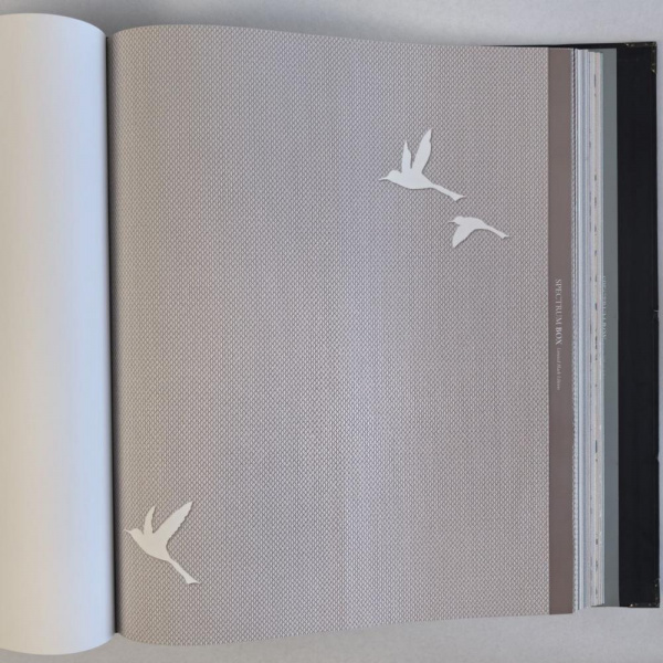 Andrea Rossi Spectrum Box 54458-11 Andrea Rossi Spectrum Box 54458-11