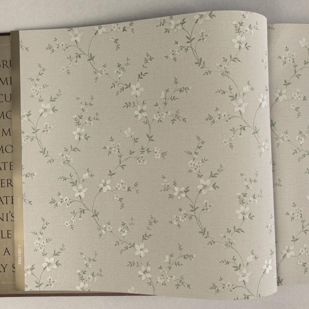 Alessandro Allori Bruni RBN 1001-1 Alessandro Allori Bruni RBN 1001-1