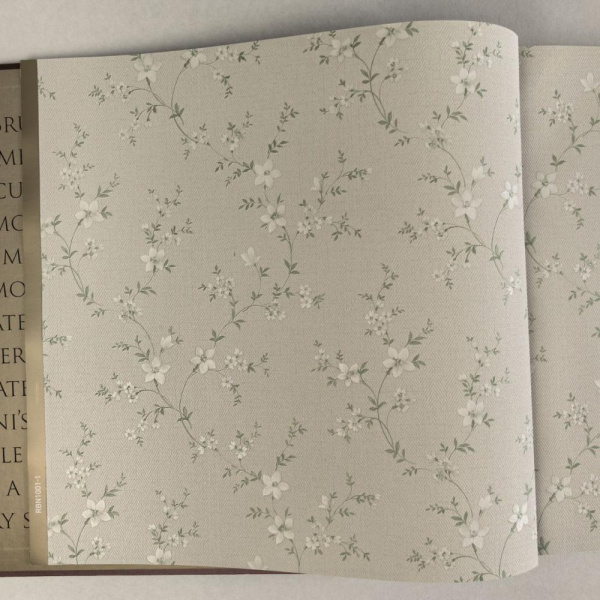 Alessandro Allori Bruni RBN 1001-1 Alessandro Allori Bruni RBN 1001-1