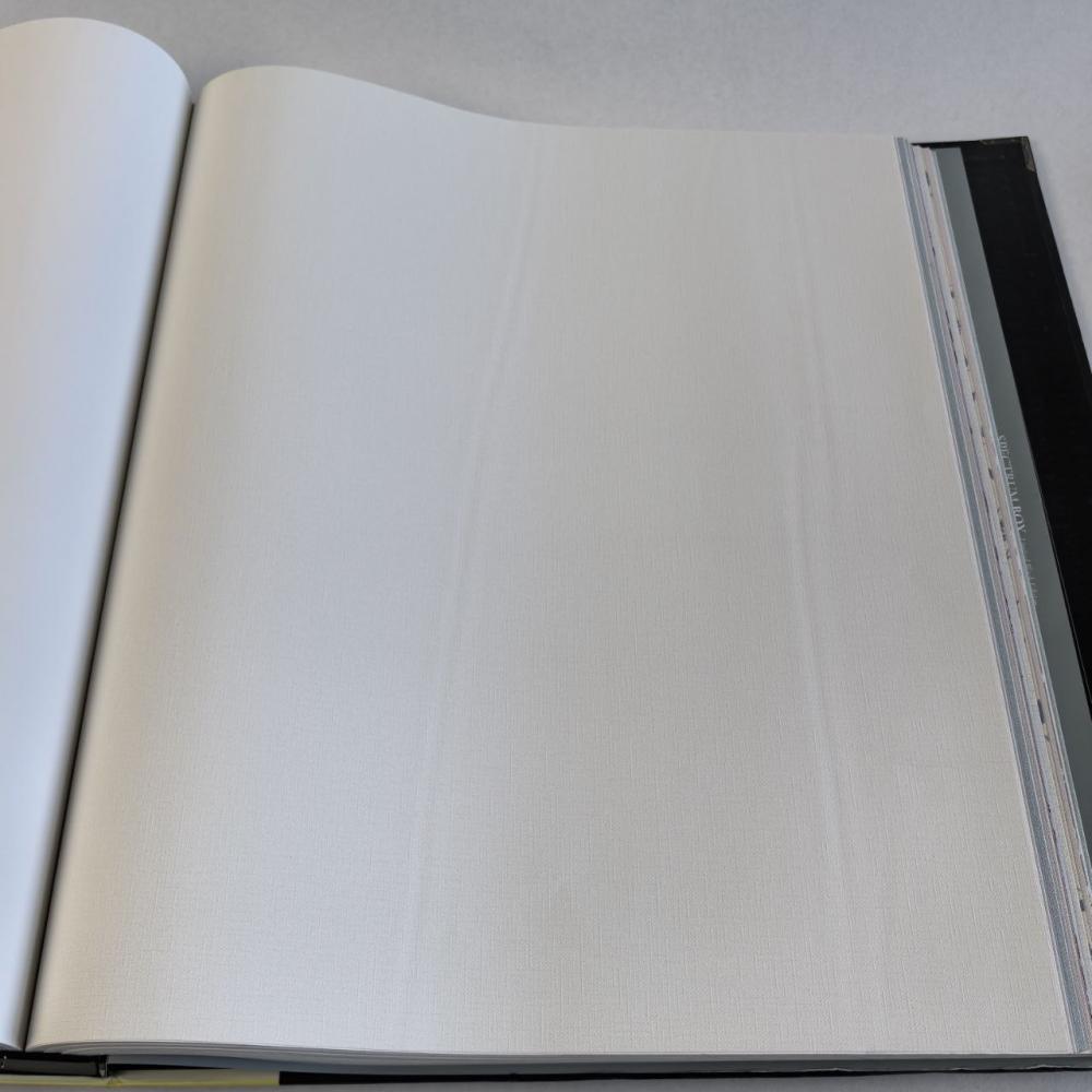 Andrea Rossi Spectrum Box 54455-1