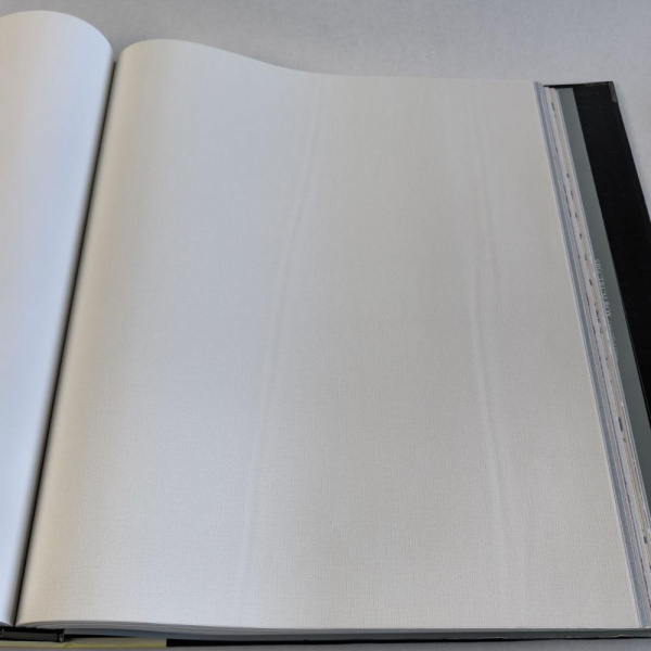 Andrea Rossi Spectrum Box 54455-1