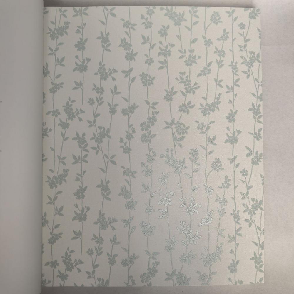 Andrea Rossi Berggi 54451-6