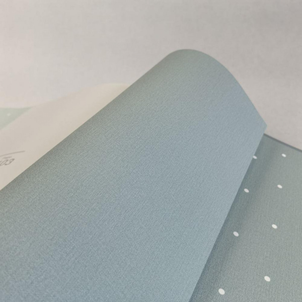 Andrea Rossi Spectrum Box 54455-13