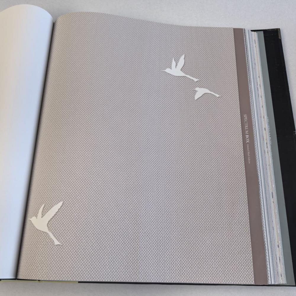 Andrea Rossi Spectrum Box 54458-11 Andrea Rossi Spectrum Box 54458-11