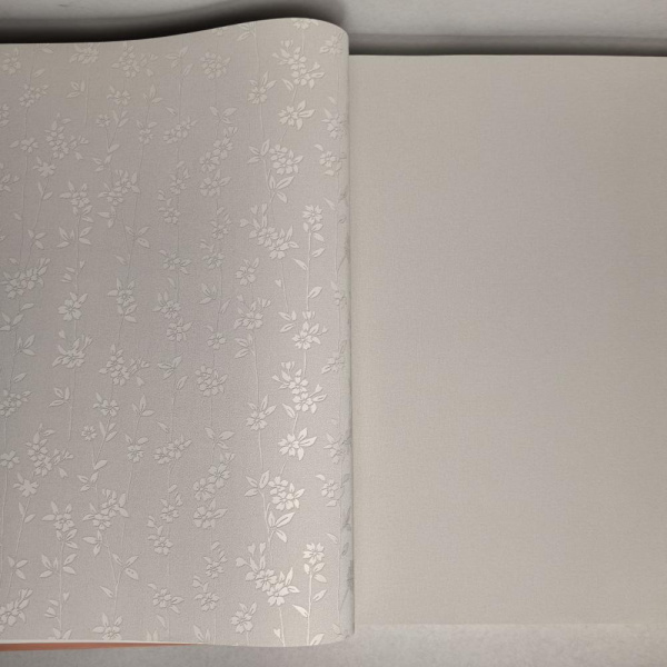 Andrea Rossi Berggi 54451-1