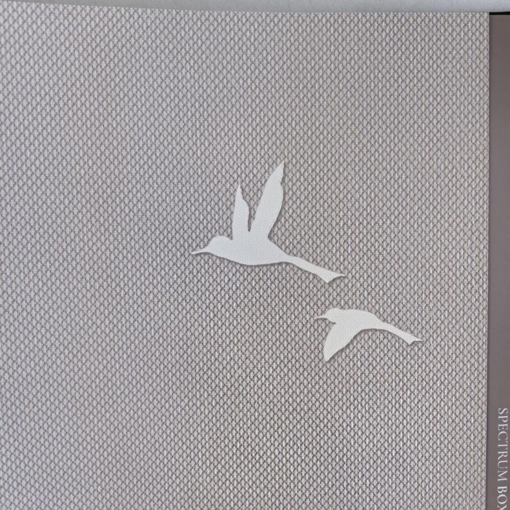 Andrea Rossi Spectrum Box 54458-11 Andrea Rossi Spectrum Box 54458-11