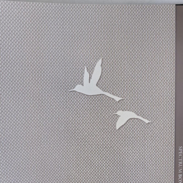 Andrea Rossi Spectrum Box 54458-11 Andrea Rossi Spectrum Box 54458-11