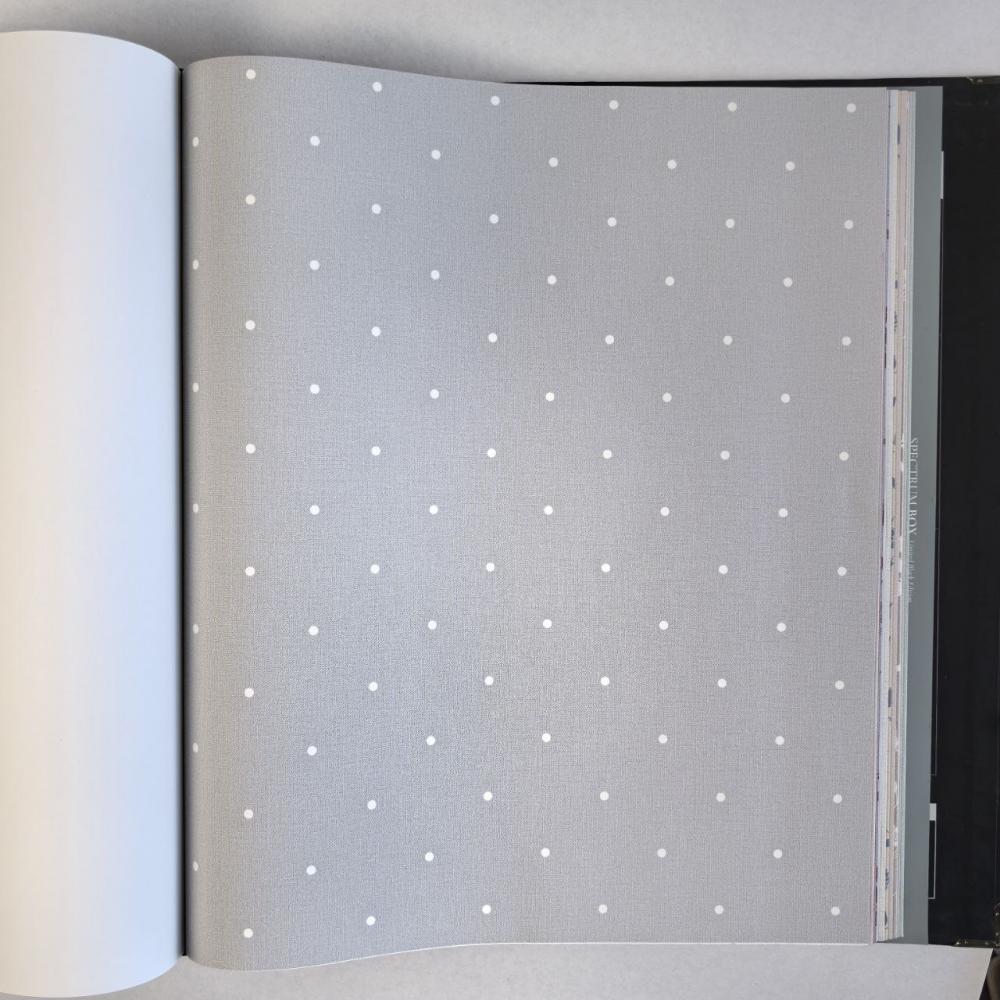 Andrea Rossi Spectrum Box 54454-9