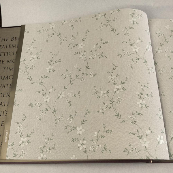Alessandro Allori Bruni RBN 1001-1 Alessandro Allori Bruni RBN 1001-1