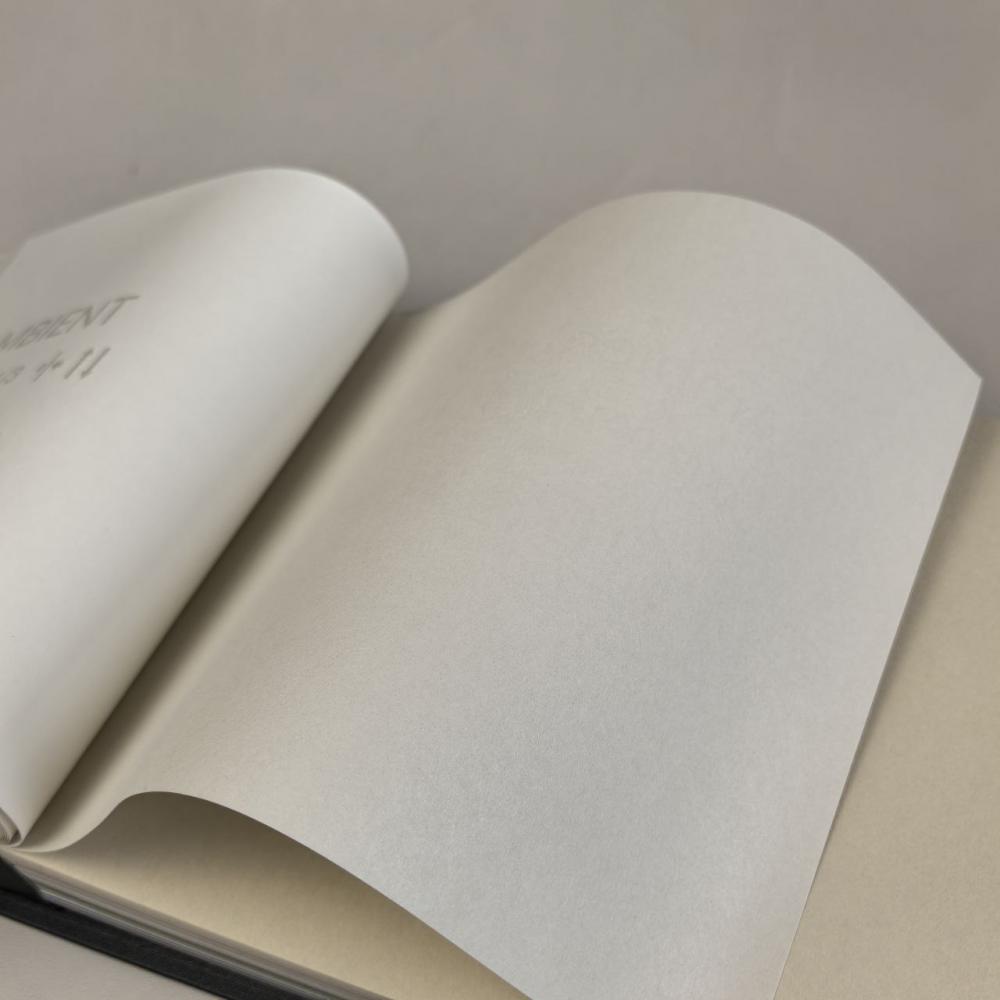 Milassa Ambient AM 9 001/1