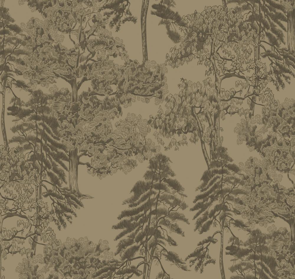 Milassa Ambient AM5 005/1